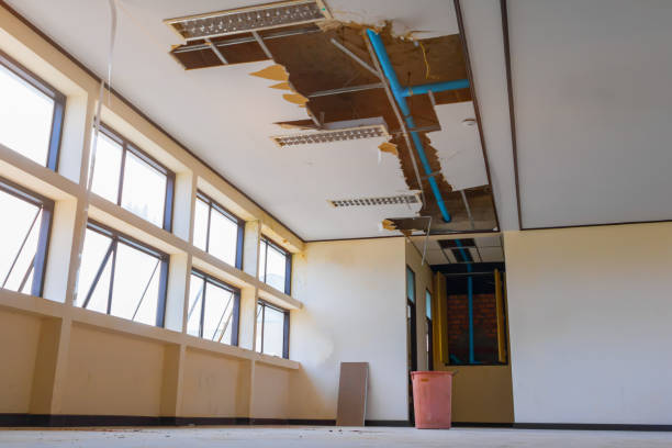 Best Water damage cleanup near me  in West Glendive, MT