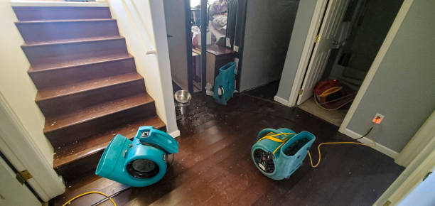 Best Residential water damage restoration  in West Glendive, MT
