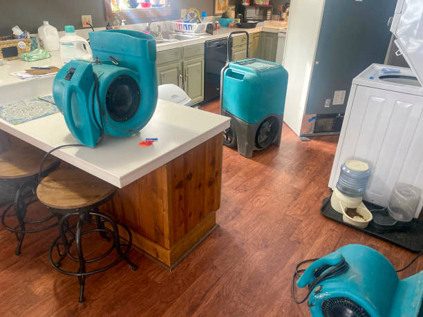 Best Basement water damage restoration  in West Glendive, MT