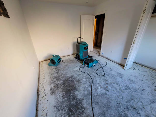 Best 24/7 water damage repair  in West Glendive, MT