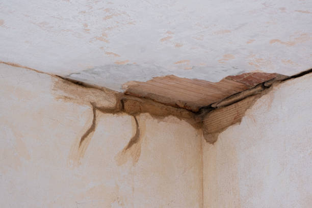 Best Flooded house restoration  in West Glendive, MT