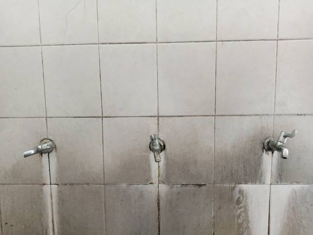 Best Ceiling water damage repair  in West Glendive, MT