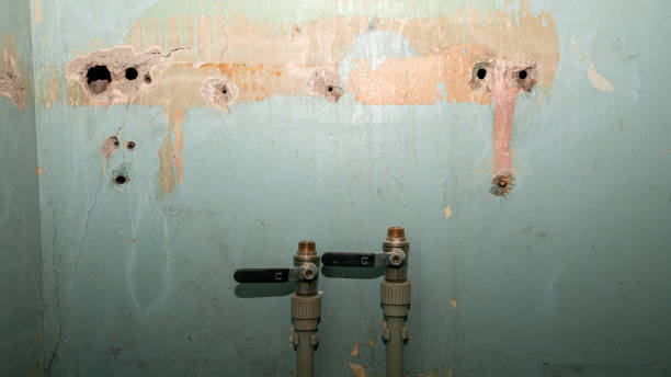 Best Fire Damage Restoration  in West Glendive, MT