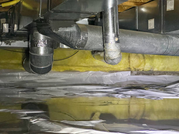 Best Water damage restoration experts  in West Glendive, MT