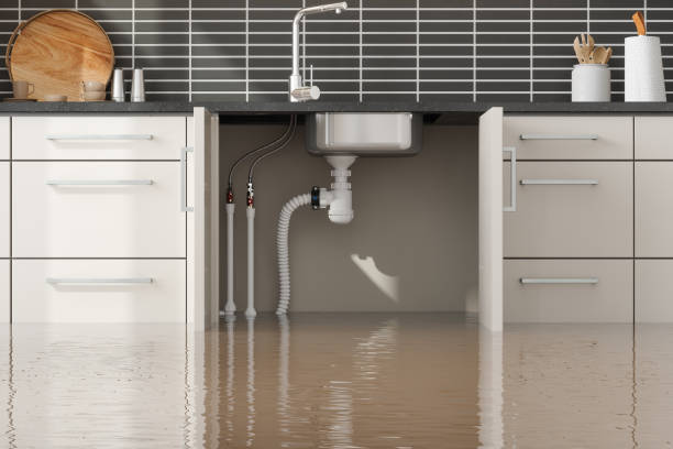 Best Sewage cleanup and water damage restoration  in West Glendive, MT
