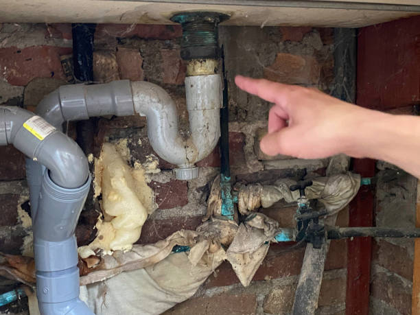 Best Flood restoration services  in West Glendive, MT